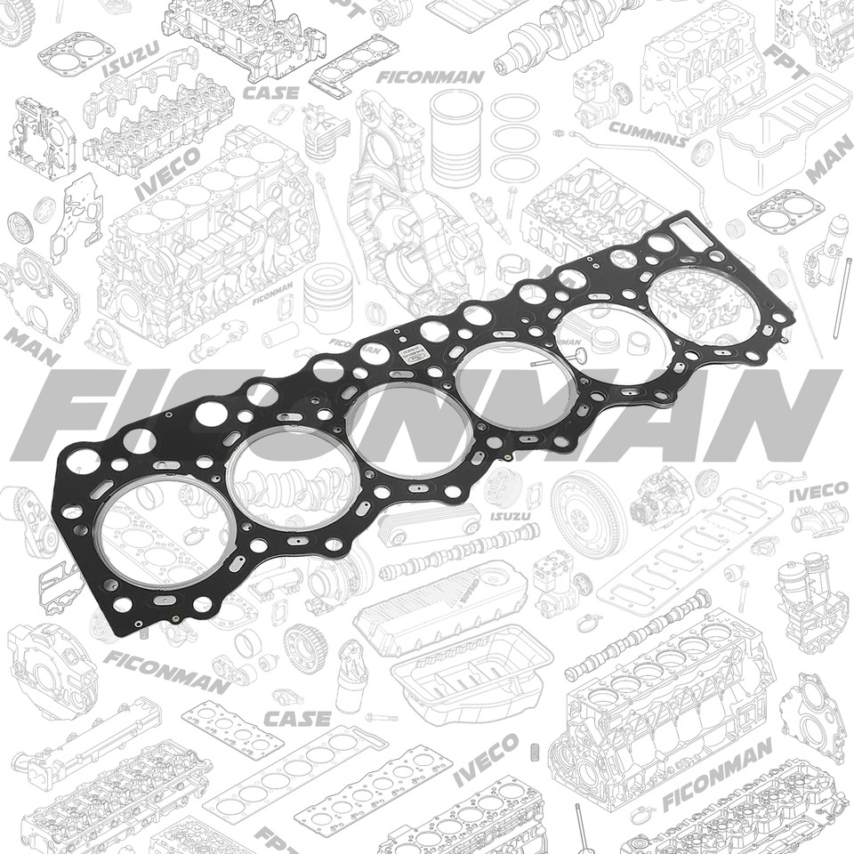 Ford Ford Trucks F-MAX ECOTORQ 9L Cylinder head gasket 6C466051AC 6C466051AB - Junta de motor de Caminhão: foto 1 Ford Ford Trucks F-MAX ECOTORQ 9L Cylinder head gasket 6C466051AC 6C466051AB - Junta de motor de Caminhão: foto 1