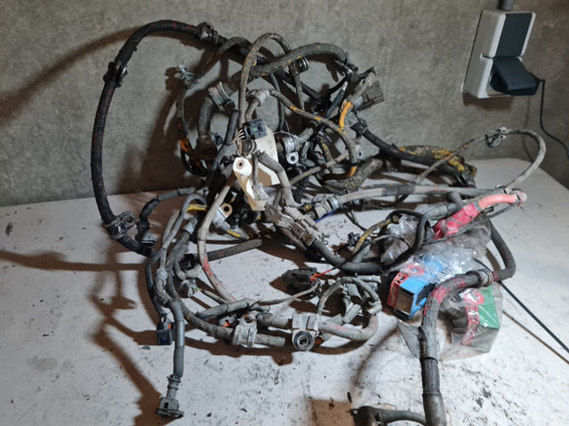 Liebherr Wire Harness - Cables/ Wire harness: foto 3 Liebherr Wire Harness - Cables/ Wire harness: foto 3