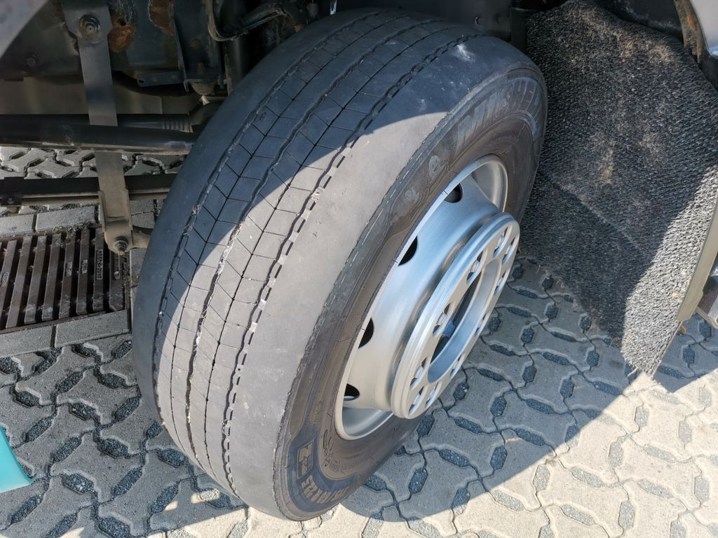 Caminhão transporte de gado DAF XF 105.460  / Intarder / 4 Stock / KOMPLETT ! DAF XF 105.460  / Intarder / 4 Stock / KOMPLETT !: foto 17