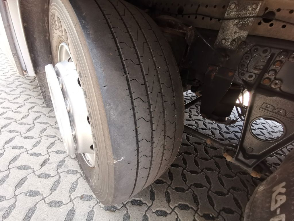 Caminhão transporte de gado DAF XF 105.460  / Intarder / 4 Stock / KOMPLETT ! DAF XF 105.460  / Intarder / 4 Stock / KOMPLETT !: foto 22