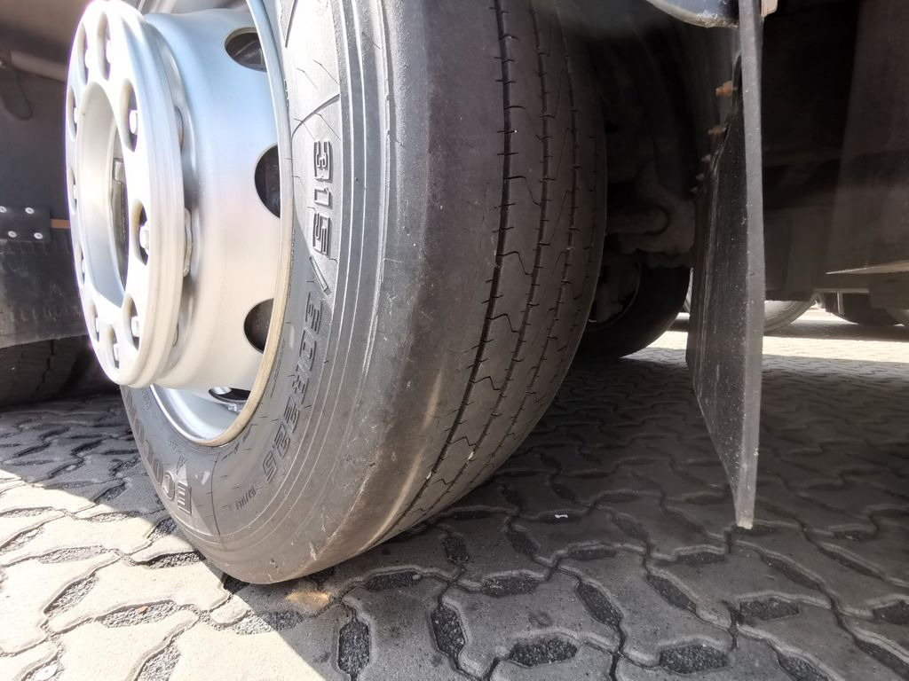 Caminhão transporte de gado DAF XF 105.460  / Intarder / 4 Stock / KOMPLETT ! DAF XF 105.460  / Intarder / 4 Stock / KOMPLETT !: foto 20