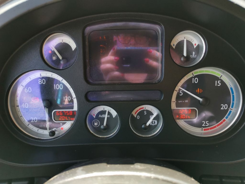 Caminhão transporte de gado DAF XF 105.460  / Intarder / 4 Stock / KOMPLETT ! DAF XF 105.460  / Intarder / 4 Stock / KOMPLETT !: foto 15