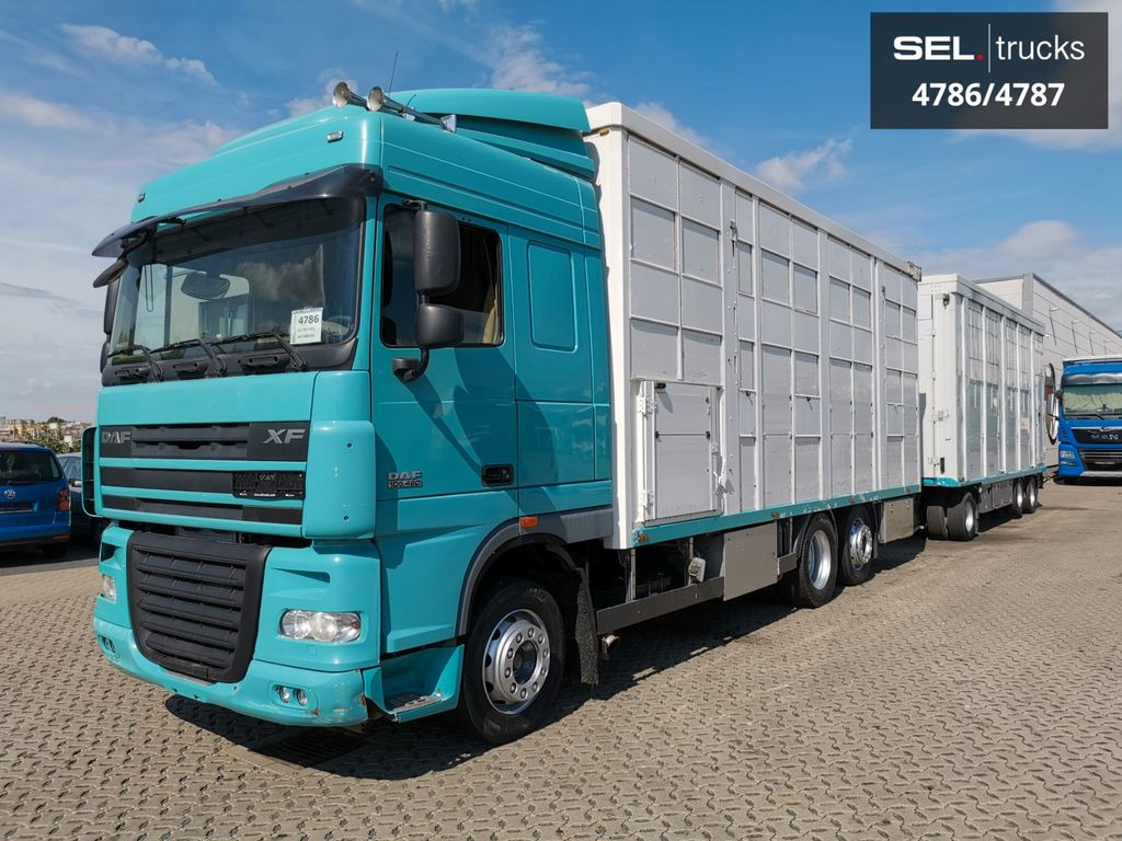 DAF XF 105.460 / Intarder / 4 Stock / KOMPLETT ! DAF XF 105.460 / Intarder / 4 Stock / KOMPLETT ! - Caminhão transporte de gado: foto 2 DAF XF 105.460 / Intarder / 4 Stock / KOMPLETT ! DAF XF 105.460 / Intarder / 4 Stock / KOMPLETT ! - Caminhão transporte de gado: foto 2