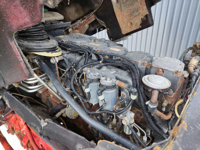 Tractor MAN 26.464 tipping gear truck tractor: foto 13