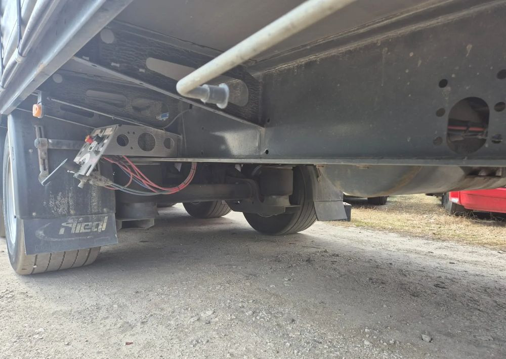 Locação de  Fliegl Tandem 3 osie Fliegl Tandem 3 osie: foto 13