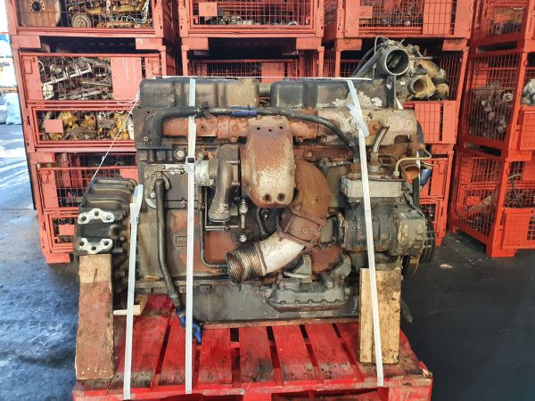 DAF WS 242 M - Motor: foto 4 DAF WS 242 M - Motor: foto 4