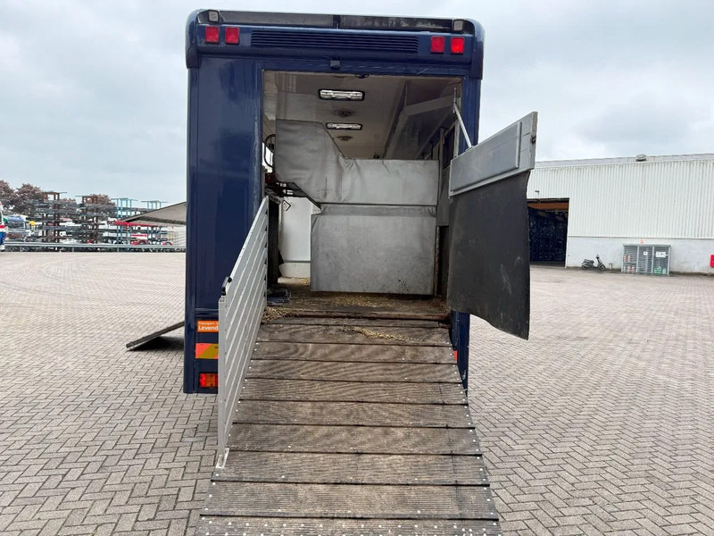 Mercedes-Benz Atego 1223 / ENGINE RUNNING / ONLY:159450 KM / HORSETRUCK / HEATED BOX / WATERTANK / LIVING ROOM / EURO-2 / MANUAL / 1998 - Caminhão para transporte de cavalos: foto 5 Mercedes-Benz Atego 1223 / ENGINE RUNNING / ONLY:159450 KM / HORSETRUCK / HEATED BOX / WATERTANK / LIVING ROOM / EURO-2 / MANUAL / 1998 - Caminhão para transporte de cavalos: foto 5