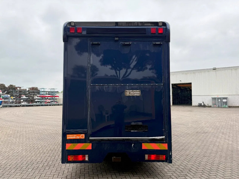 Mercedes-Benz Atego 1223 / ENGINE RUNNING / ONLY:159450 KM / HORSETRUCK / HEATED BOX / WATERTANK / LIVING ROOM / EURO-2 / MANUAL / 1998 - Caminhão para transporte de cavalos: foto 4 Mercedes-Benz Atego 1223 / ENGINE RUNNING / ONLY:159450 KM / HORSETRUCK / HEATED BOX / WATERTANK / LIVING ROOM / EURO-2 / MANUAL / 1998 - Caminhão para transporte de cavalos: foto 4