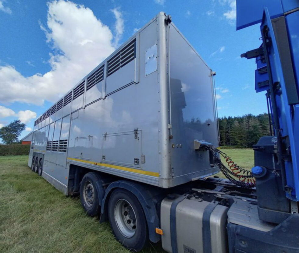 Gray and Adams Gadd3 / Works Great / Hydraulic / 2 Levels - Semireboque transporte de gado: foto 4 Gray and Adams Gadd3 / Works Great / Hydraulic / 2 Levels - Semireboque transporte de gado: foto 4