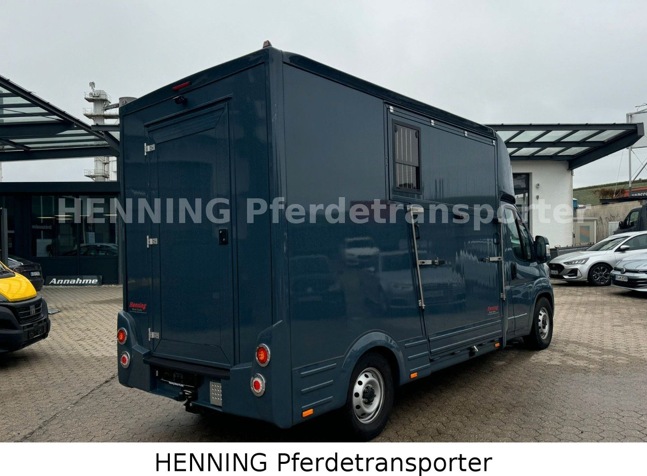 Fiat Ducato *AUTOMATIK* 3 - Sitzer - Caminhão transporte de gado: foto 3 Fiat Ducato *AUTOMATIK* 3 - Sitzer - Caminhão transporte de gado: foto 3