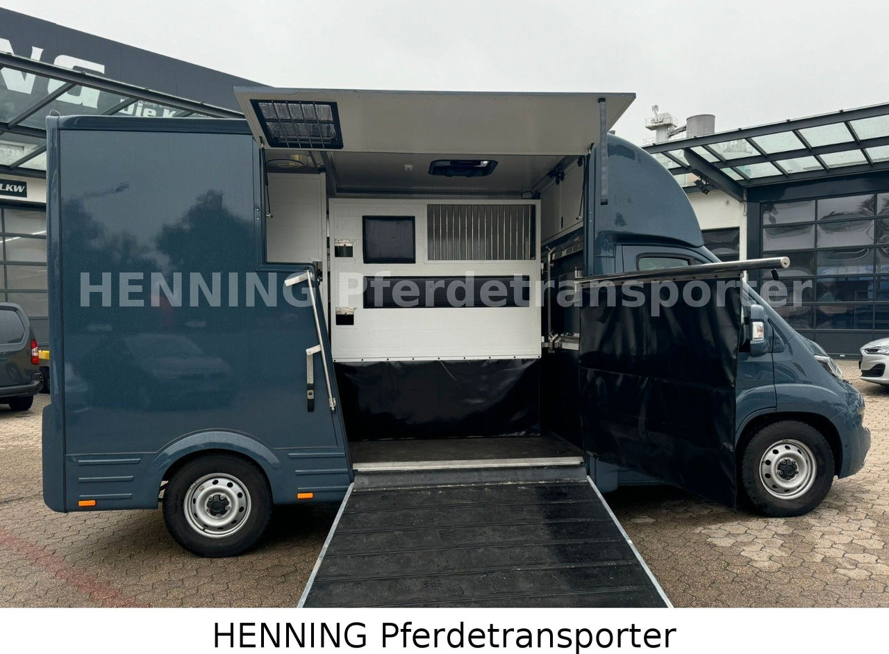 Fiat Ducato *AUTOMATIK* 3 - Sitzer - Caminhão transporte de gado: foto 4 Fiat Ducato *AUTOMATIK* 3 - Sitzer - Caminhão transporte de gado: foto 4