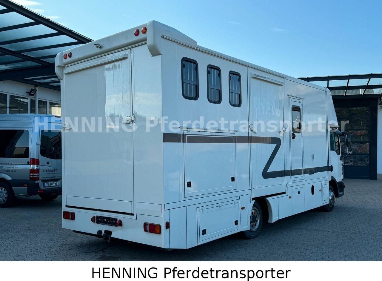 MAN TGL 8.180 4x2 - Caminhão transporte de gado: foto 2 MAN TGL 8.180 4x2 - Caminhão transporte de gado: foto 2