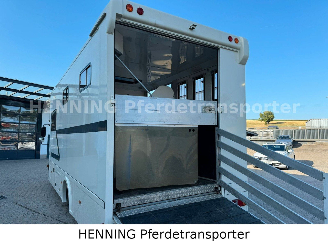 MAN TGL 8.180 4x2 - Caminhão transporte de gado: foto 5 MAN TGL 8.180 4x2 - Caminhão transporte de gado: foto 5