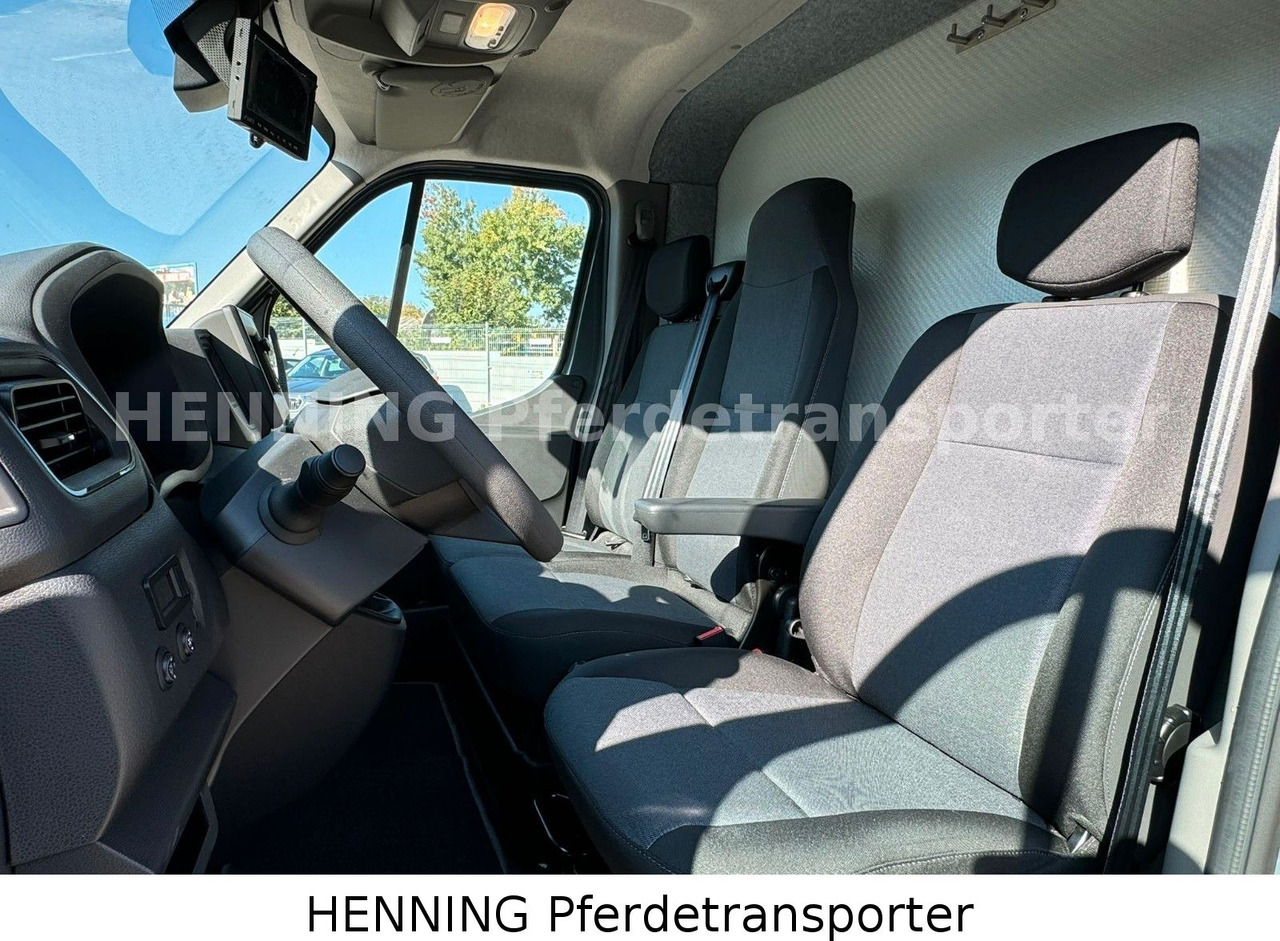 Nissan Interstar 3 - Sitzer - Caminhão transporte de gado: foto 5 Nissan Interstar 3 - Sitzer - Caminhão transporte de gado: foto 5