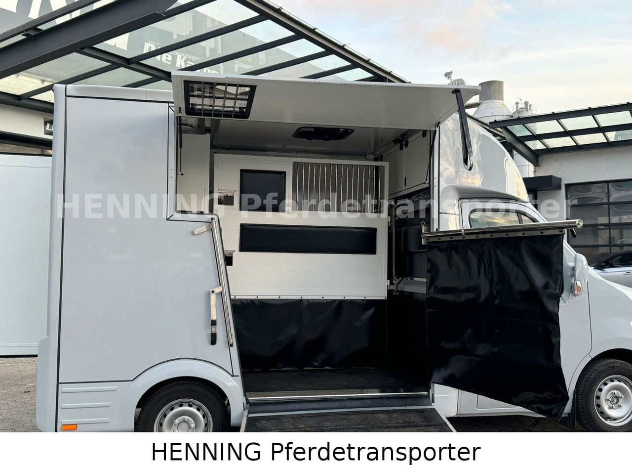 Nissan Interstar - Caminhão transporte de gado: foto 5 Nissan Interstar - Caminhão transporte de gado: foto 5