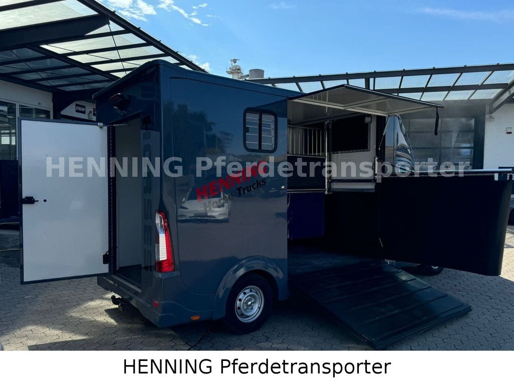 Opel Movano 3 - Sitzer *AUFBAU NEU* - Caminhão para transporte de cavalos: foto 3 Opel Movano 3 - Sitzer *AUFBAU NEU* - Caminhão para transporte de cavalos: foto 3