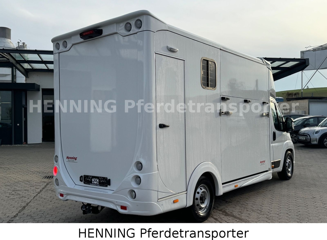 Peugeot Boxer 3 - Sitzer *AUFBAU NEU* PFERDETRANSPORTER - Caminhão transporte de gado: foto 3 Peugeot Boxer 3 - Sitzer *AUFBAU NEU* PFERDETRANSPORTER - Caminhão transporte de gado: foto 3