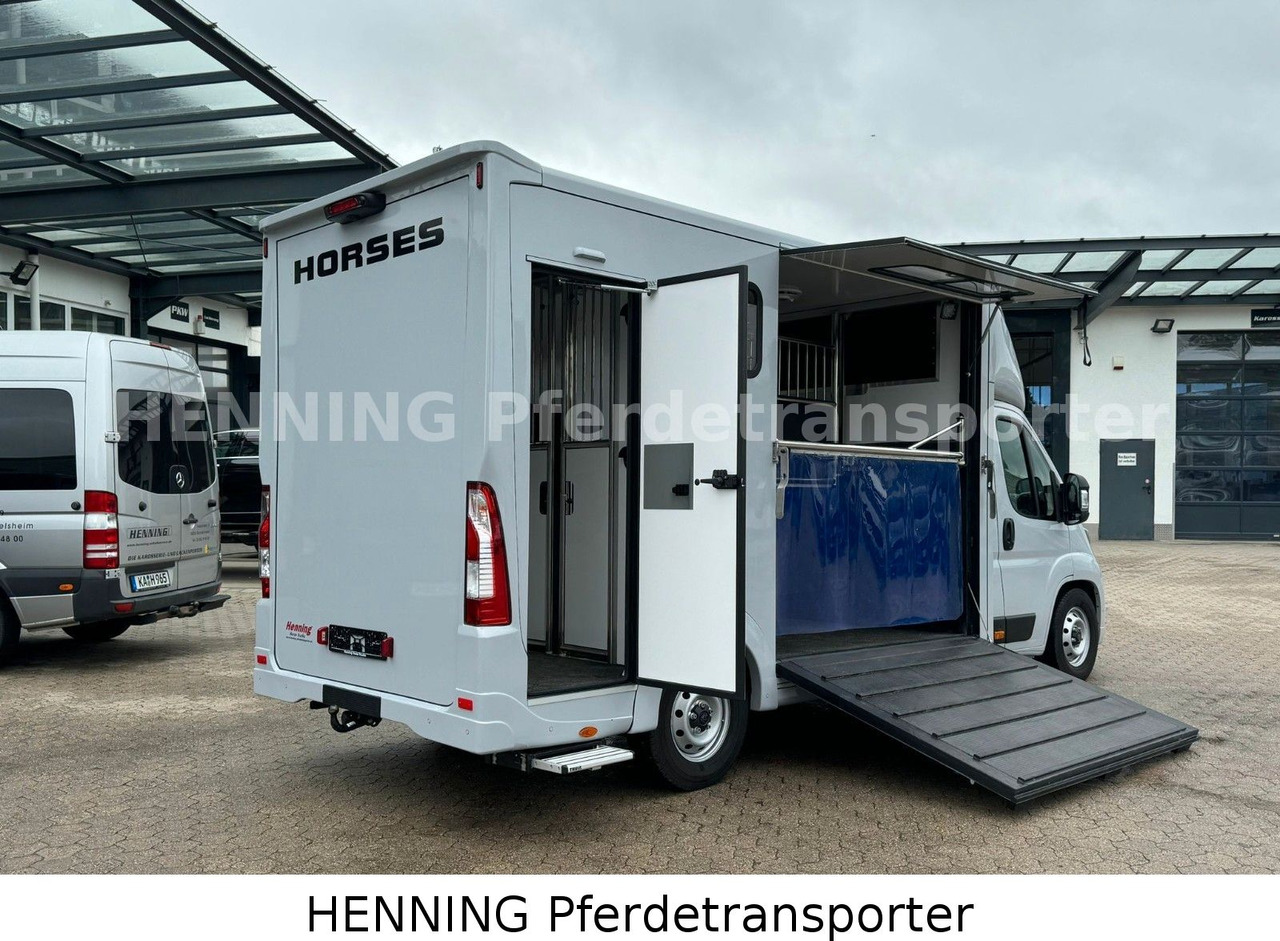 Peugeot Boxer 3 - Sitzer *GROSSE SATTELKAMMER* - Caminhão transporte de gado: foto 4 Peugeot Boxer 3 - Sitzer *GROSSE SATTELKAMMER* - Caminhão transporte de gado: foto 4