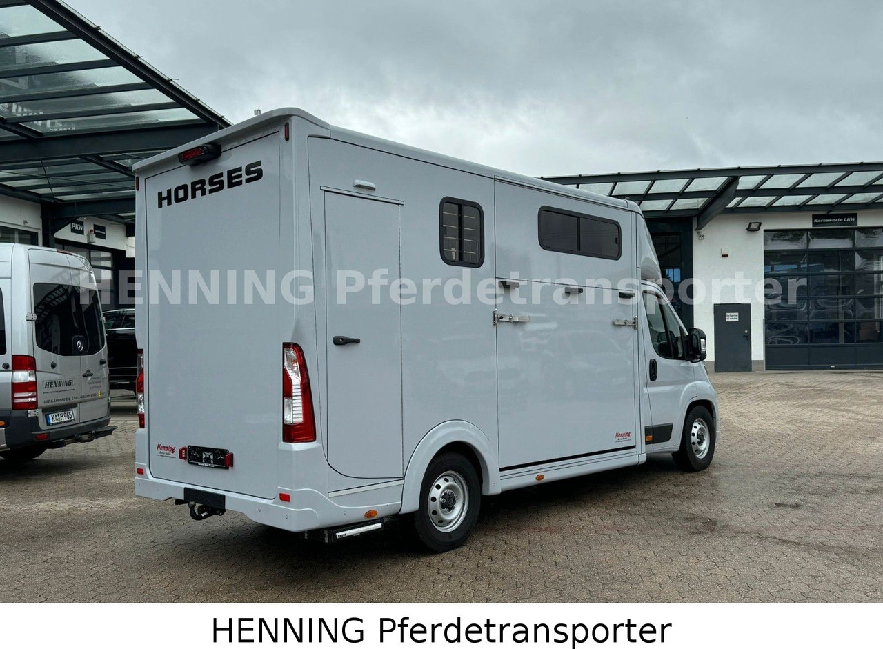 Peugeot Boxer 3 - Sitzer *GROSSE SATTELKAMMER* - Caminhão transporte de gado: foto 3 Peugeot Boxer 3 - Sitzer *GROSSE SATTELKAMMER* - Caminhão transporte de gado: foto 3