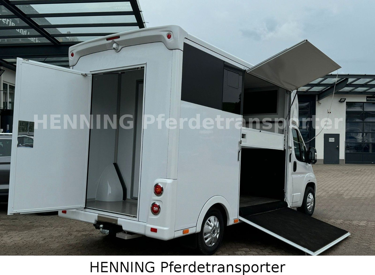 Peugeot Boxer *NEUWAGEN* ca. 1.200kg Nutzlast - Caminhão transporte de gado: foto 4 Peugeot Boxer *NEUWAGEN* ca. 1.200kg Nutzlast - Caminhão transporte de gado: foto 4
