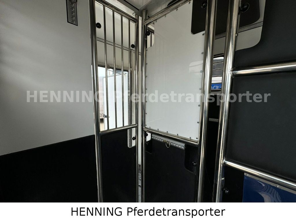 Caminhão para transporte de cavalos Renault Master 3 - Sitzer: foto 9