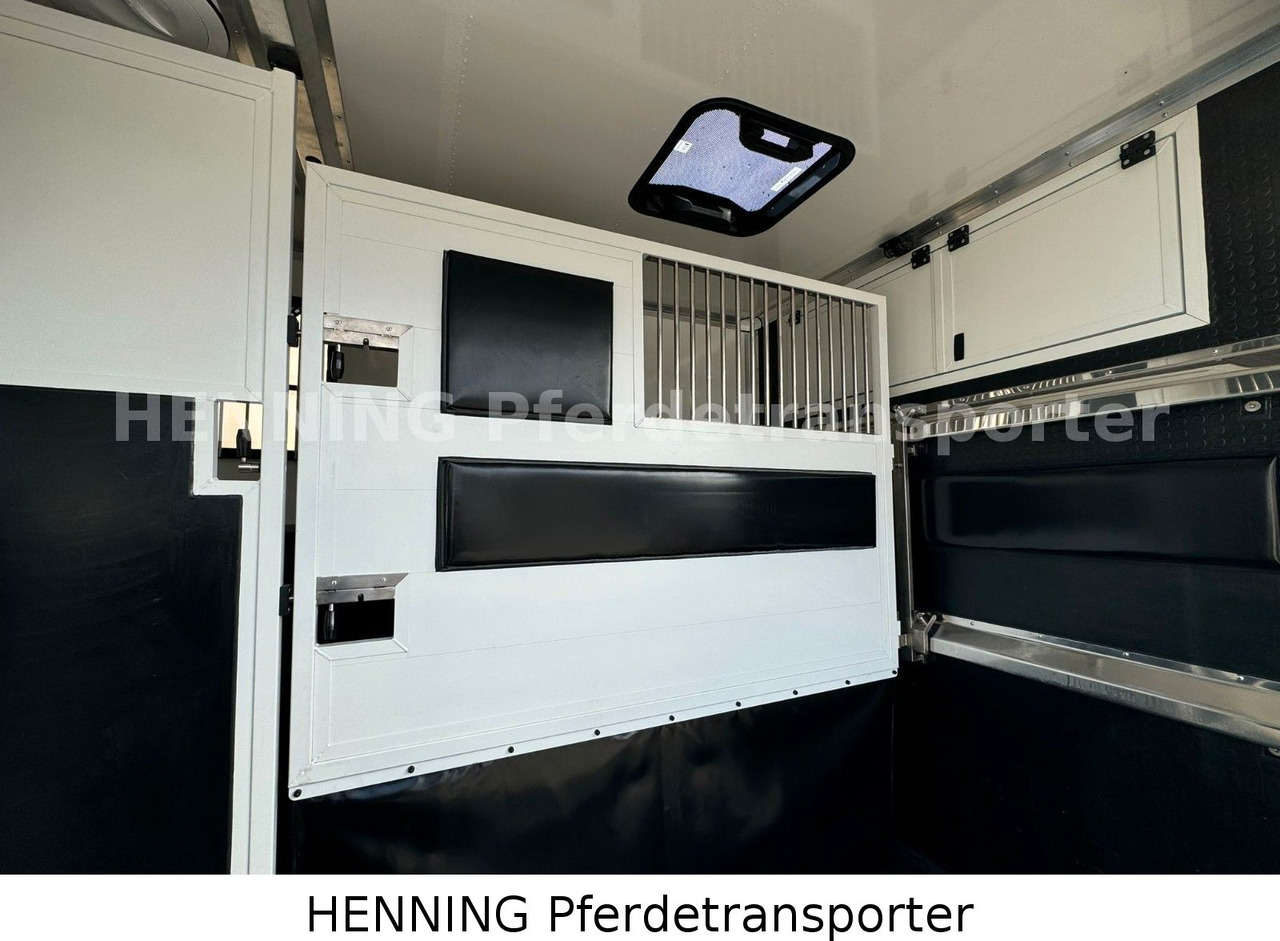 Renault Master 3 - Sitzer *NEUES MODELL* - Caminhão transporte de gado: foto 5 Renault Master 3 - Sitzer *NEUES MODELL* - Caminhão transporte de gado: foto 5