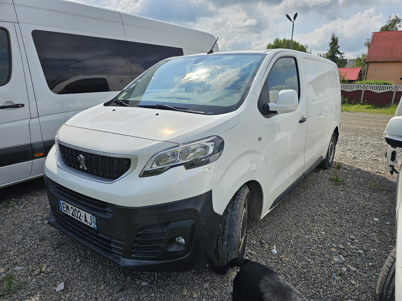 PEUGEOT Expert CHLODNIA THERMOKING KLIMA EURO6 - Carrinha frigorífica: foto 3 PEUGEOT Expert CHLODNIA THERMOKING KLIMA EURO6 - Carrinha frigorífica: foto 3