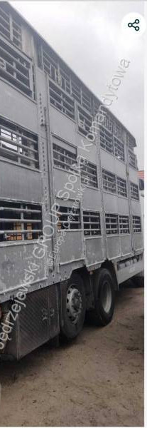 DAF XF - Caminhão transporte de gado: foto 4 DAF XF - Caminhão transporte de gado: foto 4
