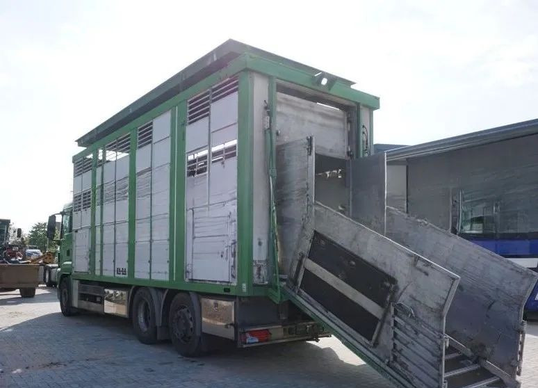 MAN TGS 26.440 ZABUDOWA KABA CAŁA ALUMINIOWA– samochód do transportu zwierząt/koni – 3 pokłady / EURO 5/6X2/PODNOSZONY DACH - Caminhão transporte de gado: foto 4 MAN TGS 26.440 ZABUDOWA KABA CAŁA ALUMINIOWA– samochód do transportu zwierząt/koni – 3 pokłady / EURO 5/6X2/PODNOSZONY DACH - Caminhão transporte de gado: foto 4