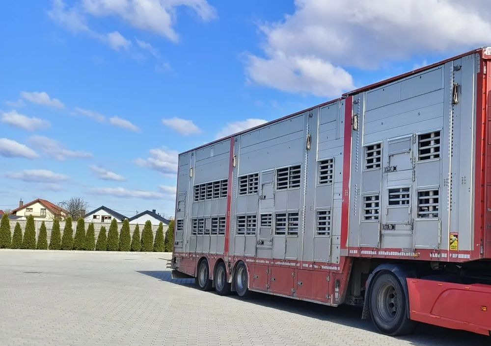 Pezzaioli SBA32/hydrauliczny dach/hydrauliczna rampa/ 3 poziomy/ 2xbydło -3xtrzoda/wentylatory/poidła/sterowanie pilotem - Semireboque transporte de gado: foto 1 Pezzaioli SBA32/hydrauliczny dach/hydrauliczna rampa/ 3 poziomy/ 2xbydło -3xtrzoda/wentylatory/poidła/sterowanie pilotem - Semireboque transporte de gado: foto 1