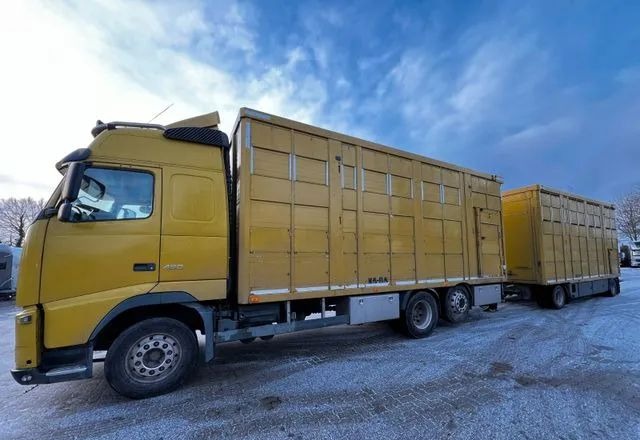 Volvo FH 420 • KABA • Transport Zwierząt 3xŚwinie/ 2xBydło 3-piętrowy • Euro 5 • Retarder • Oś podnoszona i skrętna - Caminhão transporte de gado: foto 1 Volvo FH 420 • KABA • Transport Zwierząt 3xŚwinie/ 2xBydło 3-piętrowy • Euro 5 • Retarder • Oś podnoszona i skrętna - Caminhão transporte de gado: foto 1