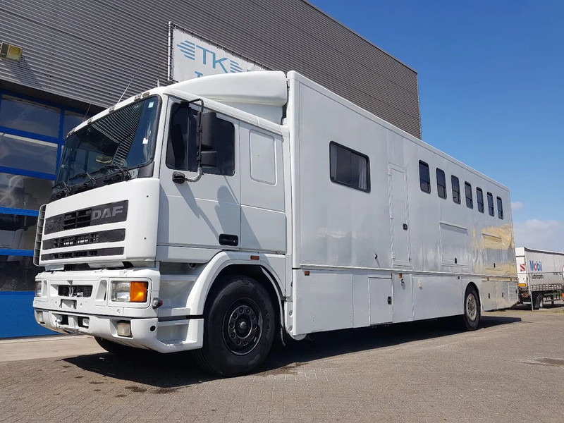 DAF 95.350 Paardenwagen met zitverblijf 7 paarden 7 horses - Caminhão para transporte de cavalos: foto 1 DAF 95.350 Paardenwagen met zitverblijf 7 paarden 7 horses - Caminhão para transporte de cavalos: foto 1