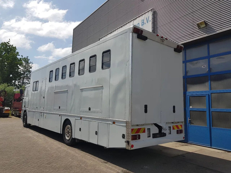 DAF 95.350 Paardenwagen met zitverblijf 7 paarden 7 horses - Caminhão para transporte de cavalos: foto 4 DAF 95.350 Paardenwagen met zitverblijf 7 paarden 7 horses - Caminhão para transporte de cavalos: foto 4