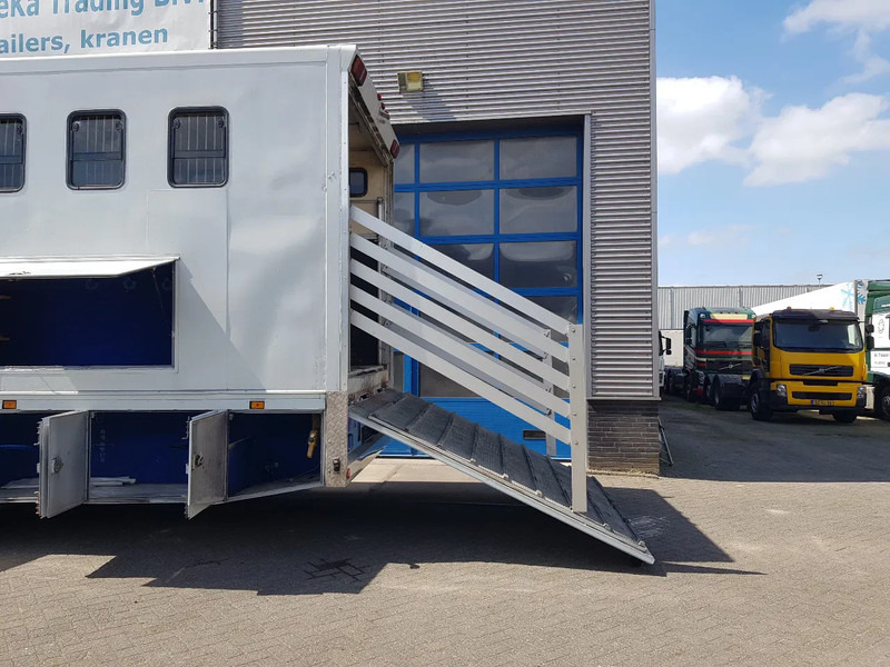 DAF 95.350 Paardenwagen met zitverblijf 7 paarden 7 horses - Caminhão para transporte de cavalos: foto 5 DAF 95.350 Paardenwagen met zitverblijf 7 paarden 7 horses - Caminhão para transporte de cavalos: foto 5
