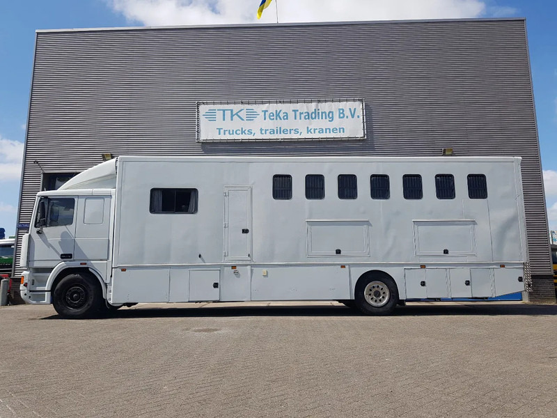 DAF 95.350 Paardenwagen met zitverblijf 7 paarden 7 horses - Caminhão para transporte de cavalos: foto 3 DAF 95.350 Paardenwagen met zitverblijf 7 paarden 7 horses - Caminhão para transporte de cavalos: foto 3