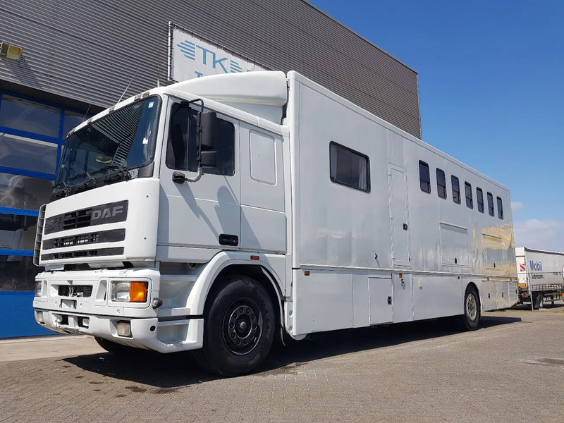 DAF 95.350 Paardenwagen met zitverblijf 7 paarden 7 horses - Caminhão para transporte de cavalos: foto 1 DAF 95.350 Paardenwagen met zitverblijf 7 paarden 7 horses - Caminhão para transporte de cavalos: foto 1