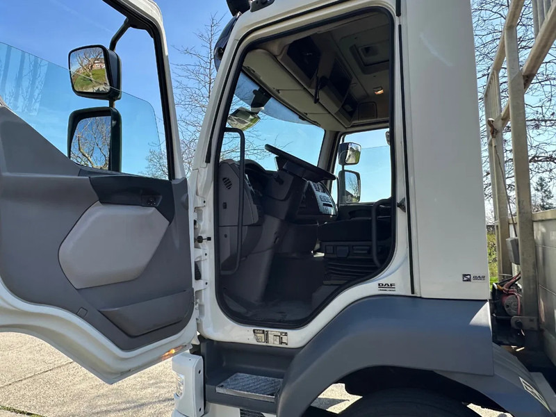DAF LF 250 / NL TRUCK / EURO6 / LENGTE BAK 950cm / 12T - Caminhão transporte de veículos: foto 5 DAF LF 250 / NL TRUCK / EURO6 / LENGTE BAK 950cm / 12T - Caminhão transporte de veículos: foto 5