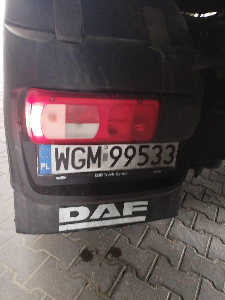 Tractor DAF XF 480 SSC: foto 9