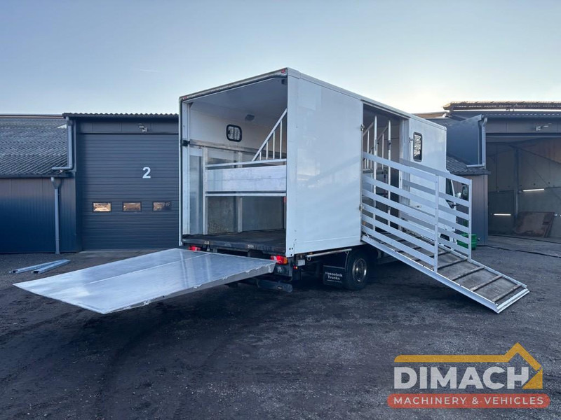 DAF FA LF45.150 4 paards, laadlift. Horsetruck NL truck - Caminhão para transporte de cavalos: foto 2 DAF FA LF45.150 4 paards, laadlift. Horsetruck NL truck - Caminhão para transporte de cavalos: foto 2