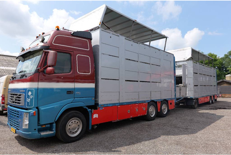 Volvo FH 13 480 6x2 3 stock livestock transport Cuppers - Caminhão transporte de gado: foto 2 Volvo FH 13 480 6x2 3 stock livestock transport Cuppers - Caminhão transporte de gado: foto 2