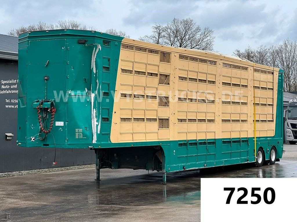 Semireboque transporte de gado Finkl SAV 34 4/5 Stock Multiliner  Hubdach Rampe: foto 1