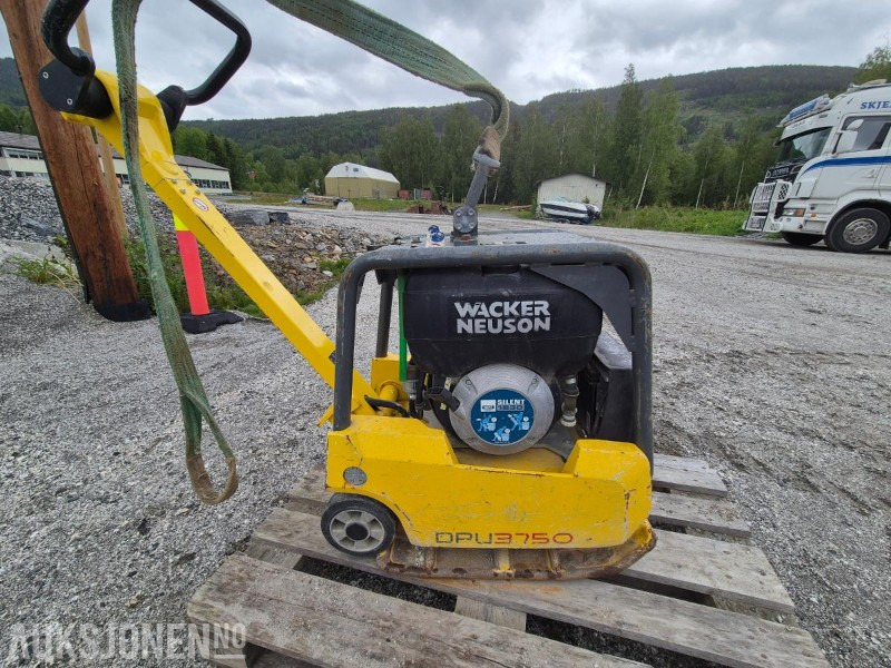 2019 Wacker Neuson DPU3750 / Hoppetusse / Vibroplate / Komprimator - Rolo: foto 4 2019 Wacker Neuson DPU3750 / Hoppetusse / Vibroplate / Komprimator - Rolo: foto 4
