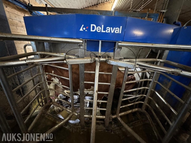 2013 DeLaval VMS melkerobot med 1 kraftfôrstasjon FSC40 - Høyre utgave - Steam - Innredning og grinder foran - Vakuumpumpe - Fortsatt i daglig drift - Máquina agrícola: foto 5 2013 DeLaval VMS melkerobot med 1 kraftfôrstasjon FSC40 - Høyre utgave - Steam - Innredning og grinder foran - Vakuumpumpe - Fortsatt i daglig drift - Máquina agrícola: foto 5