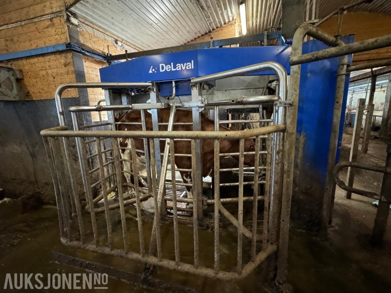 2013 DeLaval VMS melkerobot med 1 kraftfôrstasjon FSC40 - Høyre utgave - Steam - Innredning og grinder foran - Vakuumpumpe - Fortsatt i daglig drift - Máquina agrícola: foto 4 2013 DeLaval VMS melkerobot med 1 kraftfôrstasjon FSC40 - Høyre utgave - Steam - Innredning og grinder foran - Vakuumpumpe - Fortsatt i daglig drift - Máquina agrícola: foto 4