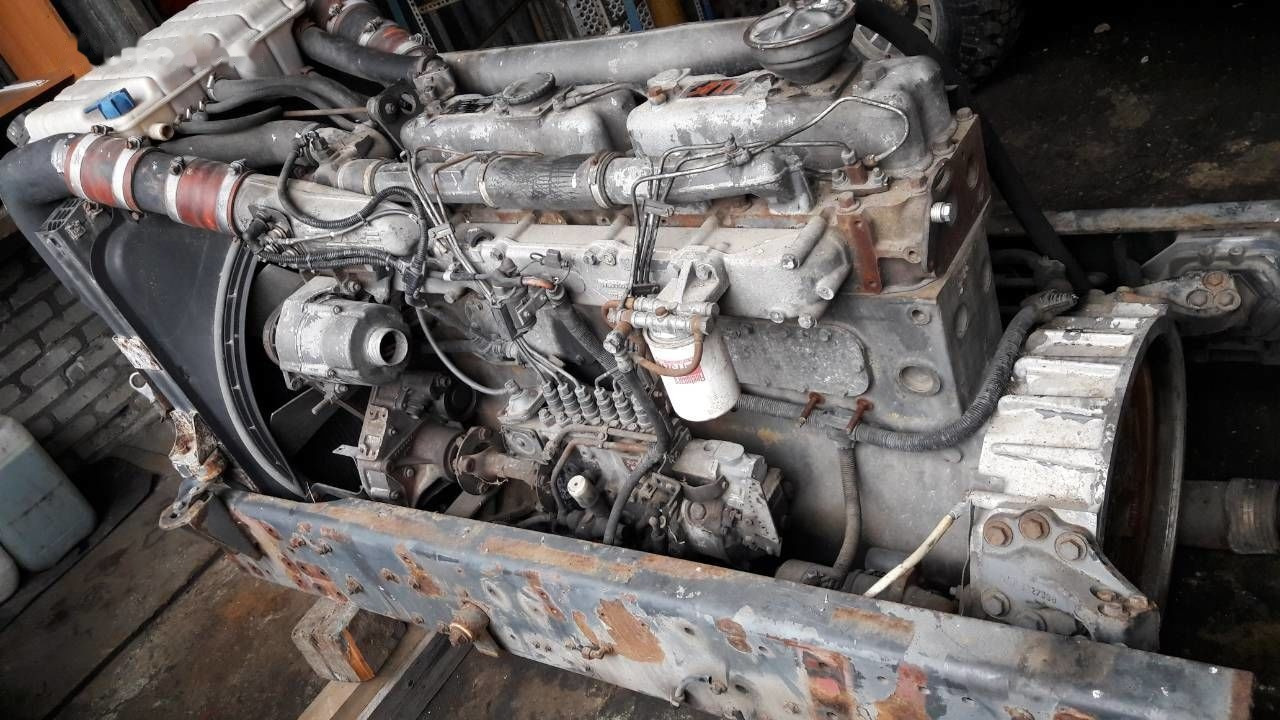 DAF WS 268 G DAF 95, 85 - Motor de Caminhão: foto 1 DAF WS 268 G DAF 95, 85 - Motor de Caminhão: foto 1