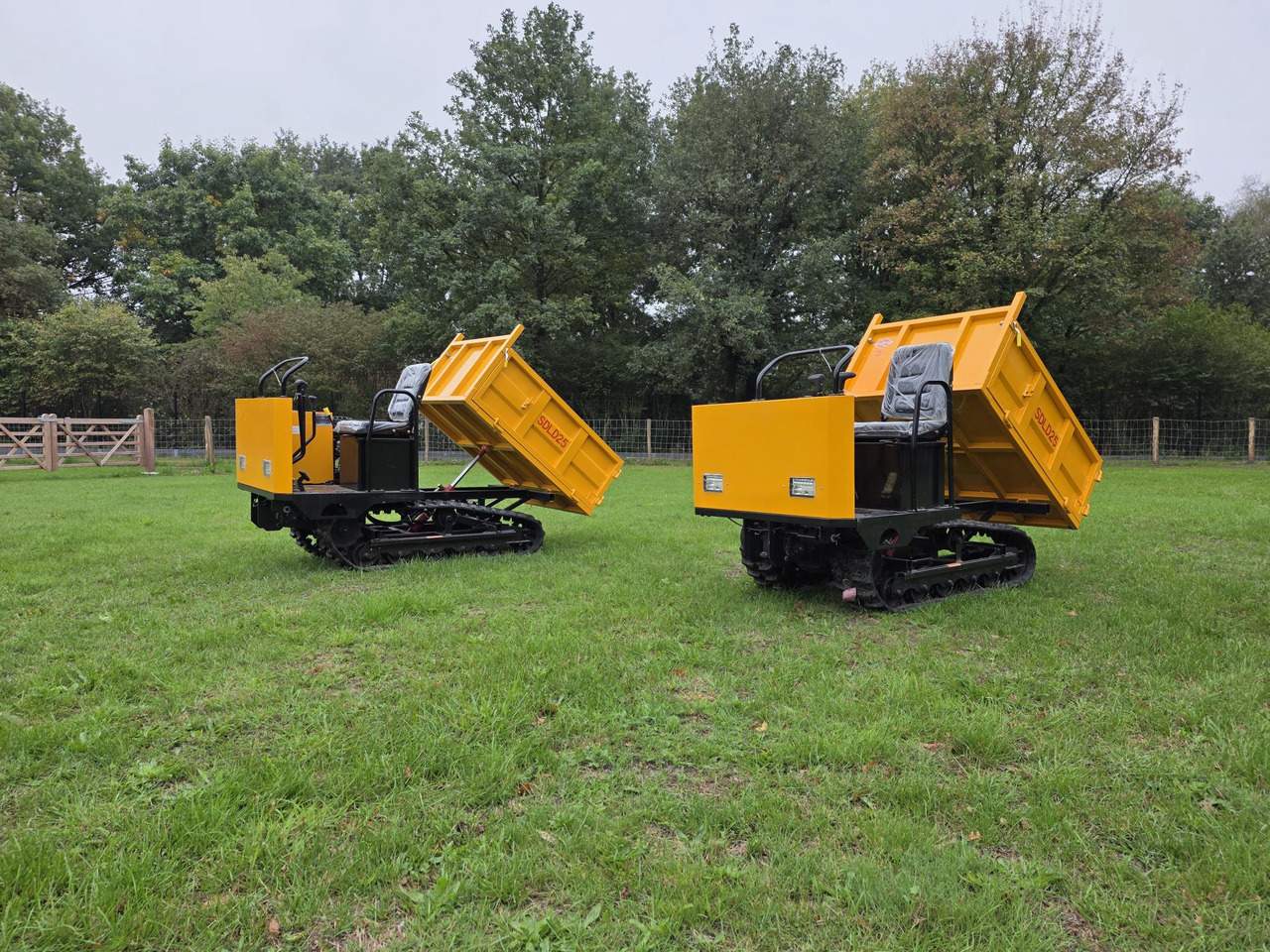 Sdlool sdld 25 mini dumper - Dumper: foto 1 Sdlool sdld 25 mini dumper - Dumper: foto 1