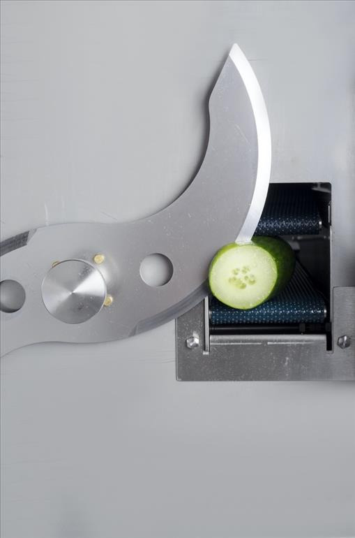NFM BD75 LA Belt cutter - Equipamento de processamento de alimentos: foto 3 NFM BD75 LA Belt cutter - Equipamento de processamento de alimentos: foto 3