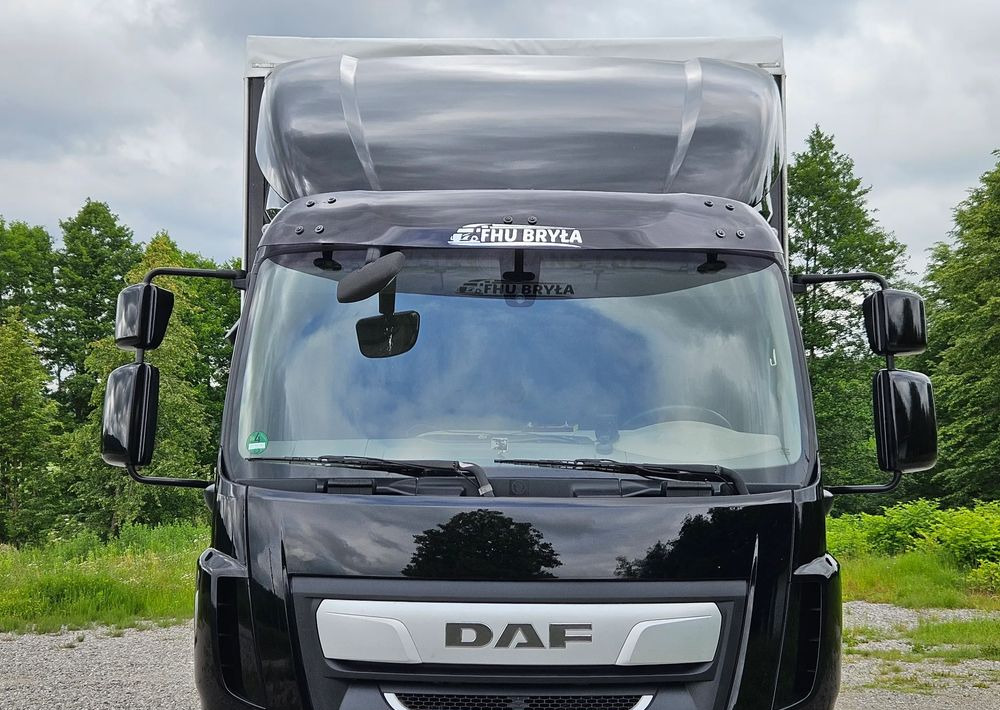 DAF LF 290/WINDA/16TON DMC/FIRANKA/AUTOMAT/16TON DMC/JEDEN WŁAŚCICIE/EURO 6/2019/SPROWADZONY/20PALET/NISKI PRZEBIEG/DUŻA ŁADOWNOŚĆ/JAK NOWY - Caminhão com lona: foto 5 DAF LF 290/WINDA/16TON DMC/FIRANKA/AUTOMAT/16TON DMC/JEDEN WŁAŚCICIE/EURO 6/2019/SPROWADZONY/20PALET/NISKI PRZEBIEG/DUŻA ŁADOWNOŚĆ/JAK NOWY - Caminhão com lona: foto 5