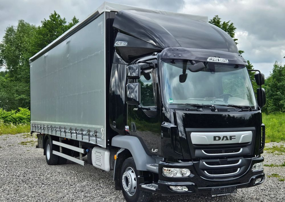 DAF LF 290 / WINDA / 16TON DMC / FIRANKA / AUTOMAT / JEDEN WŁAŚCICIE / EURO 6 / 2019 / SPROWADZONY / 20PALET / NISKI PRZEBIEG / DUŻA ŁADOWNOŚĆ / JAK NOWY - Caminhão com lona: foto 3 DAF LF 290 / WINDA / 16TON DMC / FIRANKA / AUTOMAT / JEDEN WŁAŚCICIE / EURO 6 / 2019 / SPROWADZONY / 20PALET / NISKI PRZEBIEG / DUŻA ŁADOWNOŚĆ / JAK NOWY - Caminhão com lona: foto 3