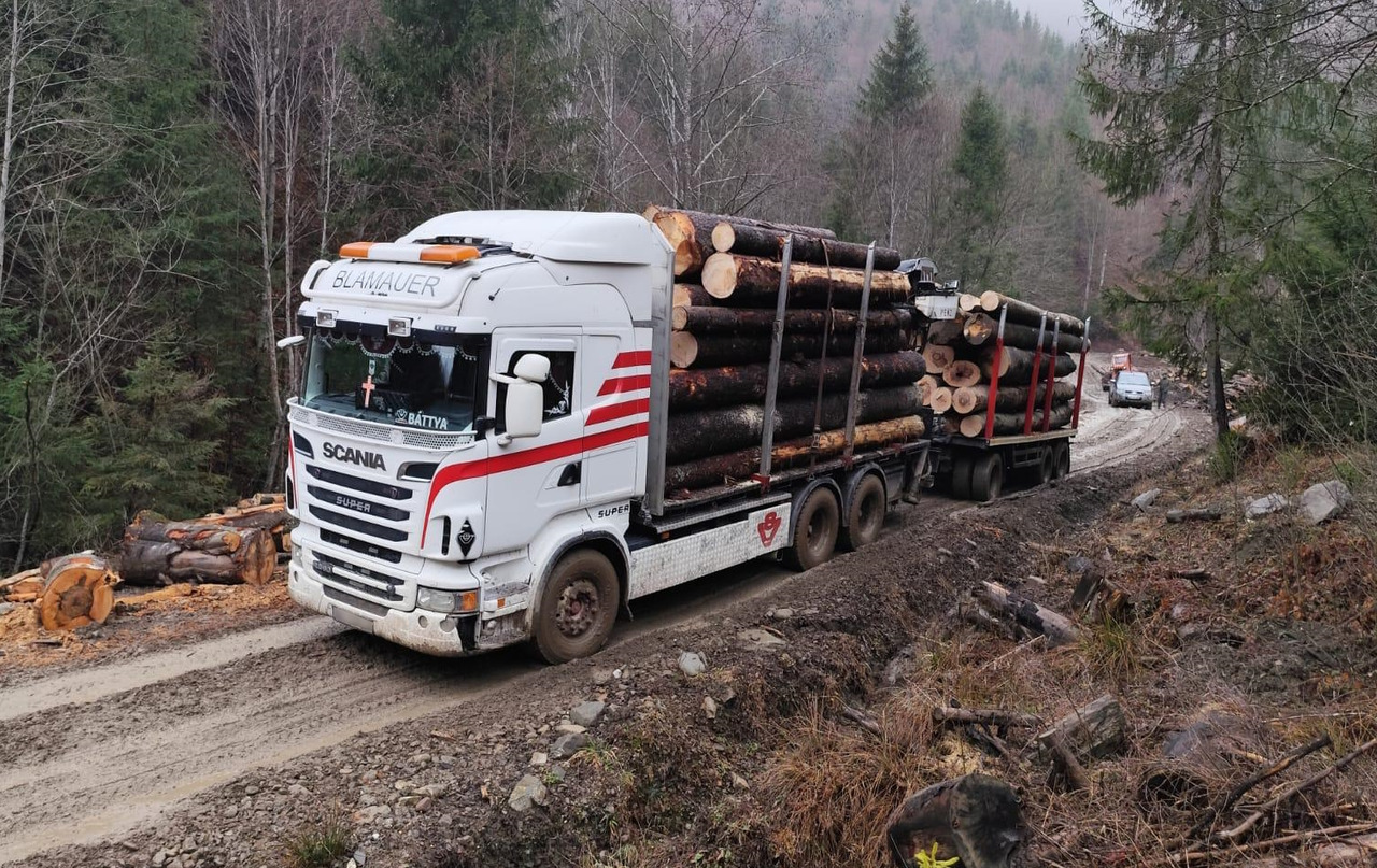 SCANIA R560 V8 - Caminhão florestal, Caminhão grua: foto 2 SCANIA R560 V8 - Caminhão florestal, Caminhão grua: foto 2
